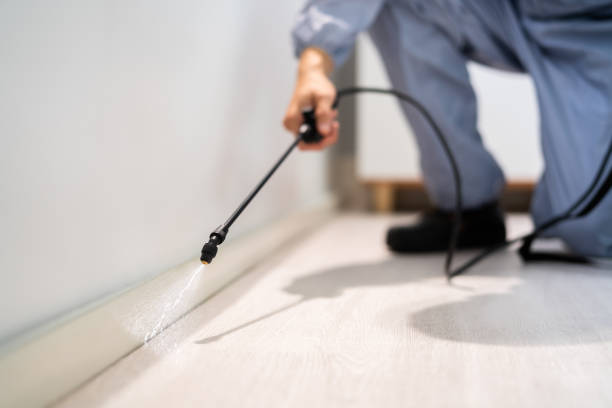 Licensed Pest Control service in Colonial Pine Hills, SD - Nex Pest Control