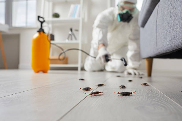 Trusted Termite Control service in Colonial Pine Hills, SD - Nex Pest Control